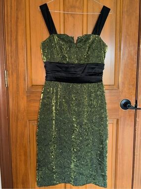 La Chateau Grren and Black Dress